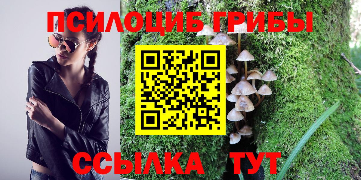 как найти   Галлюциногенные грибы ЛСД  Вход с VPN  Сызрань 